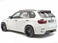 Hamann Flash Evo M 2010 Mouse Pad 25975