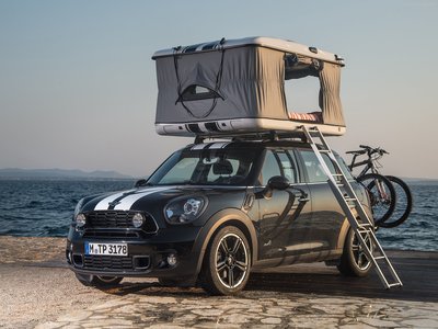 Mini Countryman ALL4 Camp 2013 wooden framed poster