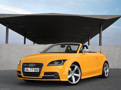 Audi TTS Roadster competition 2013 stickers 4379