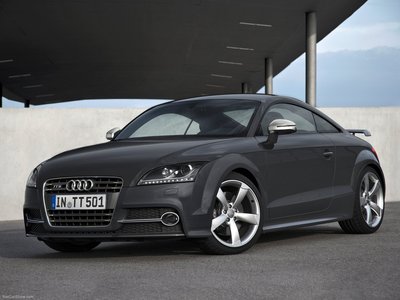 Audi TTS Coupe competition 2013 stickers 4387