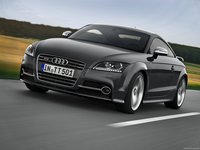 Audi TTS Coupe competition 2013 stickers 4388