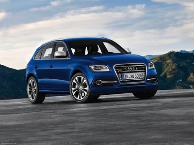 Audi SQ5 TDI 2013 Poster with Hanger