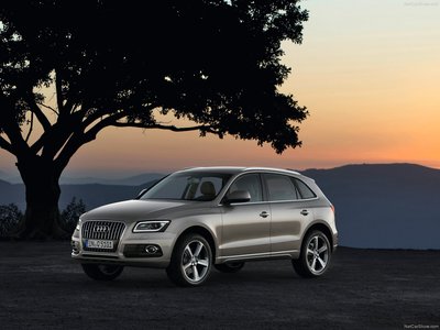 Audi Q5 2013 Poster with Hanger