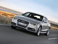 Audi S5 2012 stickers 4659