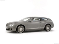 Bentley Continental Flying Star 2010 stickers 520696