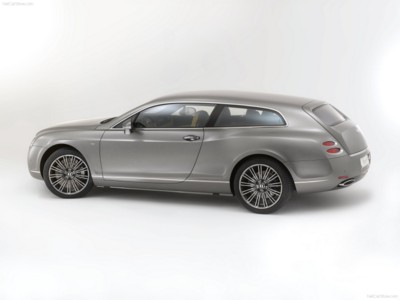 Bentley Continental Flying Star 2010 puzzle 520787