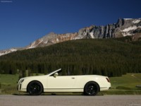 Bentley Continental Supersports Convertible 2011 Poster 521439