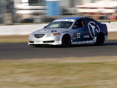 Acura TL 25 Hours of Thunderhill 2004 pillow