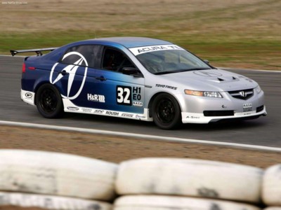 Acura TL 25 Hours of Thunderhill 2004 Poster 522375