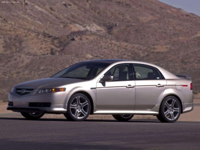 Acura TL with ASPEC Performance Package 2004 puzzle 522685