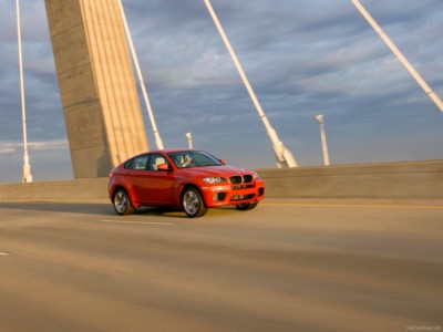 BMW X6 M 2010 Poster with Hanger