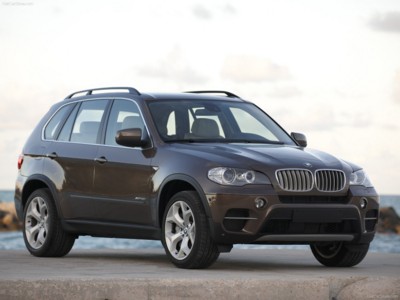 BMW X5 2011 puzzle 526102