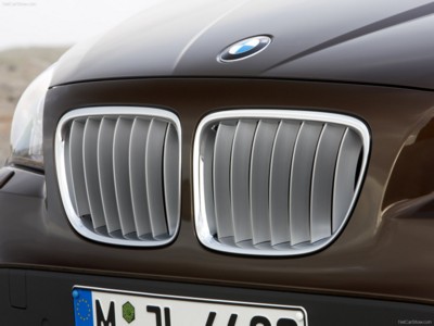 BMW X1 2010 stickers 529214