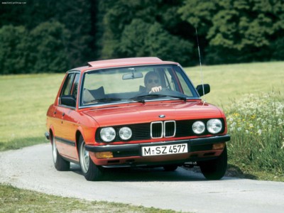 BMW 524td 1983 stickers 529960