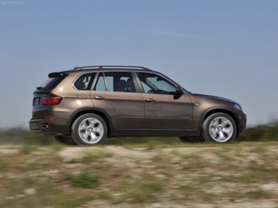 BMW X5 2011 Poster 530080
