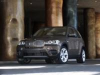 BMW X5 2011 Poster 530382