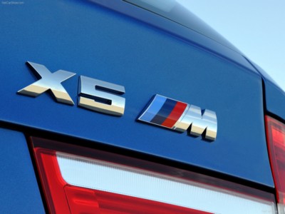 BMW X5 M 2010 puzzle 531122