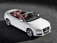 Audi A5 Cabriolet 2010 stickers 533692