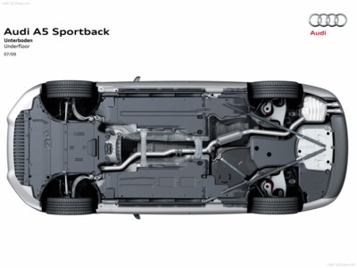 Audi A5 Sportback 2010 stickers 533933