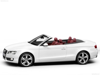 Audi A5 Cabriolet 2010 stickers 534651