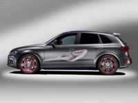 Audi Q5 Custom Concept 2009 stickers 536133