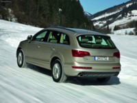 Audi Q7 2011 stickers 536589