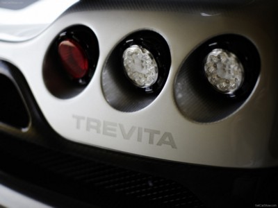 Koenigsegg CCXR Trevita 2010 poster