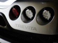 Koenigsegg CCXR Trevita 2010 stickers 537072