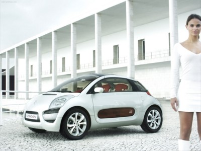 Citroen C-Airplay Concept 2005 wooden framed poster