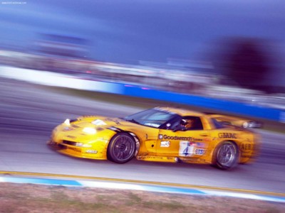 Chevrolet Corvette C5-R 2001 calendar