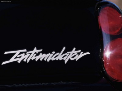 Chevrolet Monte Carlo Dale Earnhardt Edition 2002 poster