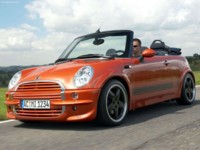 AC Schnitzer Mini Cooper Covertible 2004 hoodie #549690