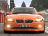 AC Schnitzer Topster 2003 puzzle 549699