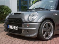 AC Schnitzer Mini CooperS 2004 tote bag #NC100632