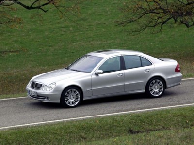 Mercedes-Benz E350 with Sports Equipment 2005 pillow