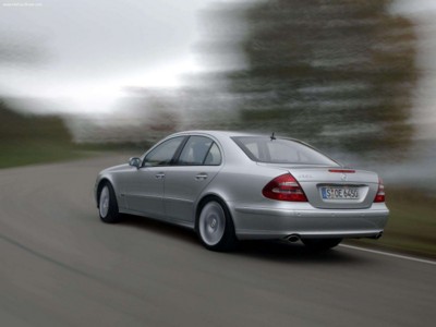 Mercedes-Benz E350 with Sports Equipment 2005 stickers 557833