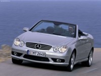 Mercedes-Benz CLK55 Cabriolet AMG 2003 puzzle 560284