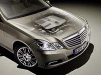 Mercedes-Benz E-Class Estate 2010 stickers 561685