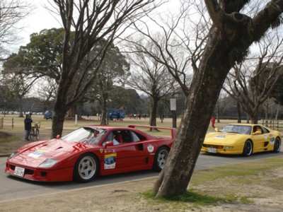 Ferrari F40 1987 Poster 563937