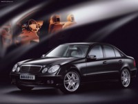 Brabus Mercedes-Benz E-Class 2003 stickers 567013