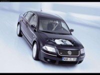 Volkswagen Passat W8 2001 Poster 569828