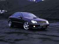 Kleemann Mercedes-Benz CLK 50K 2004 hoodie #575838