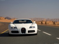 Bugatti Veyron 2009 tote bag #NC119915