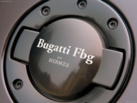 Bugatti Veyron Fbg par Hermes 2008 stickers 575931