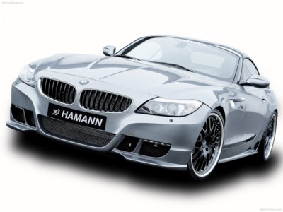 Hamann BMW Z4 2010 poster