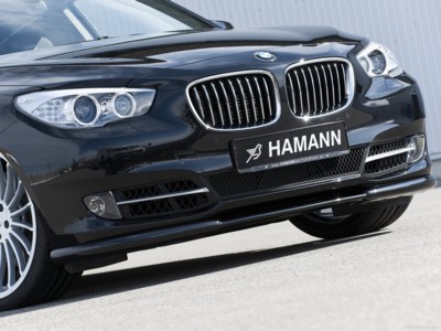 Hamann BMW 5-Series GT 2010 wooden framed poster
