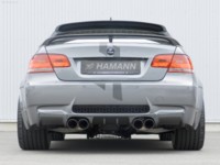Hamann BMW 3-Series Coupe Thunder 2007 stickers 579801