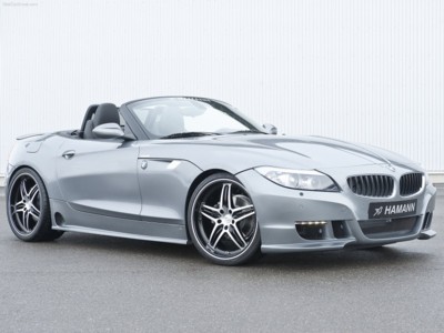 Hamann BMW Z4 2010 Poster with Hanger