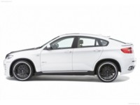Hamann BMW X6 2009 tote bag #NC143234