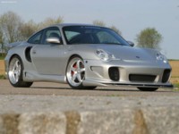 Hamann Porsche 996 Turbo 2004 mug #NC143579
